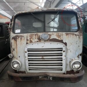 OM Leoncino - Reg. C278